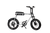 Model F